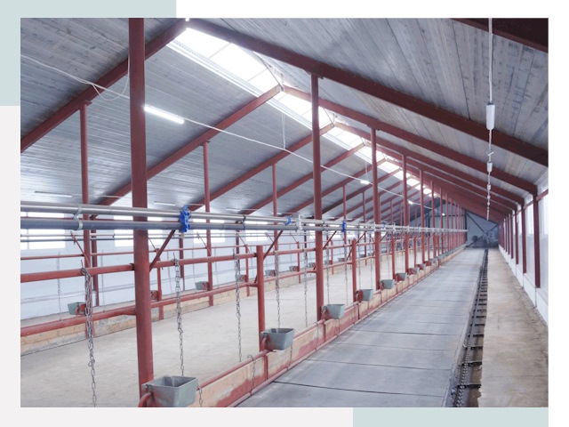 Строительство коровников в Миассе от 610 руб.