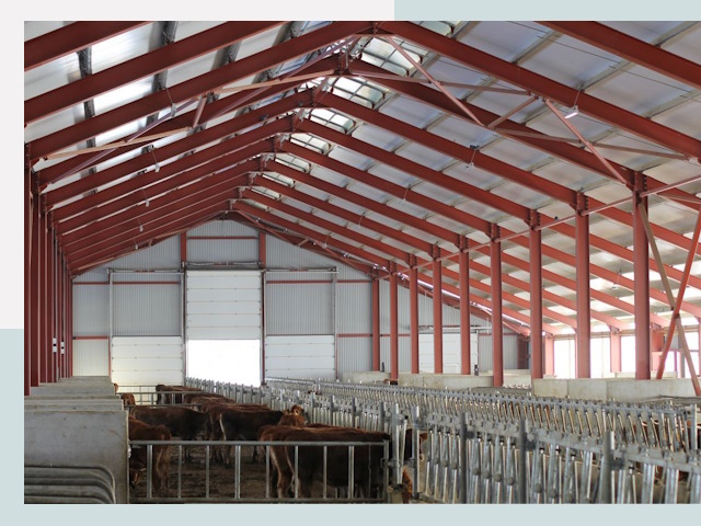 Строительство коровников в Миассе