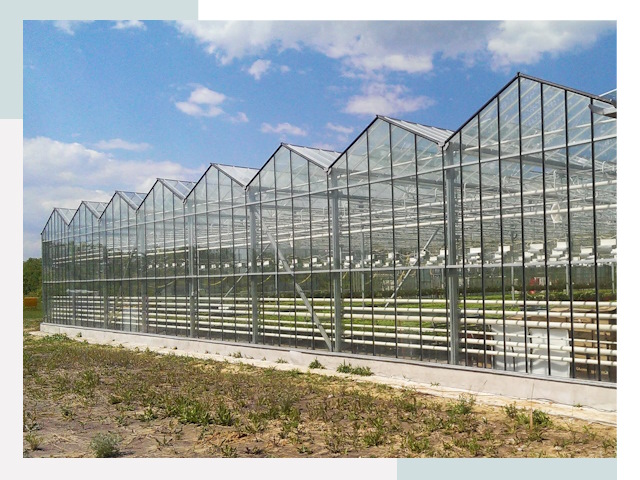 Строительство теплиц в Миасс от 610 руб. за м²