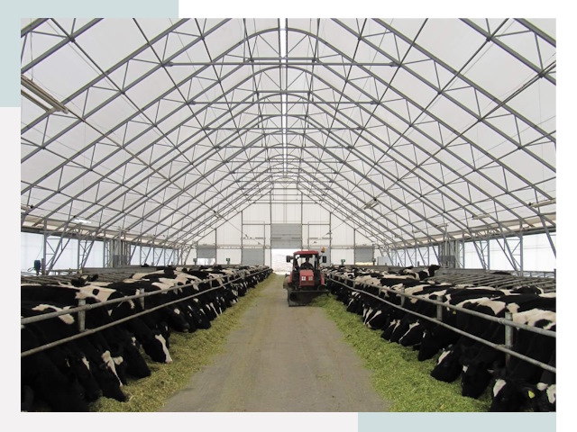 Тентовые коровники в Миассе от 610 руб. - Надежно и доступно